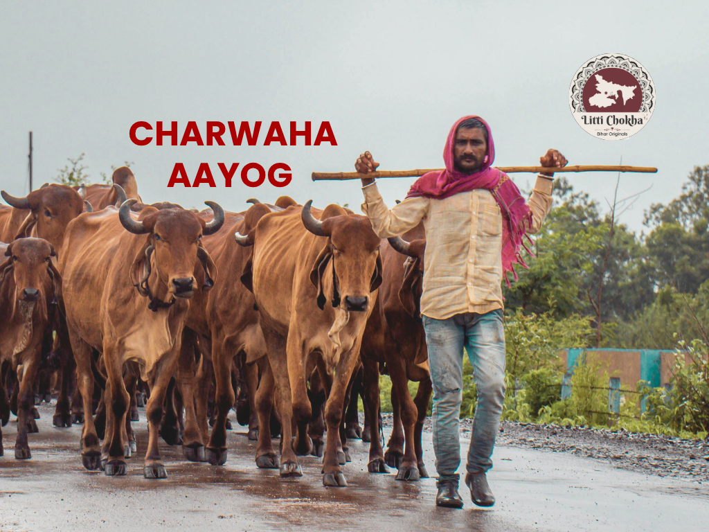 tejasvi Yadav charwaha commission